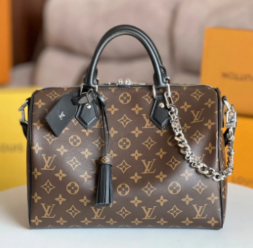 LV Bag