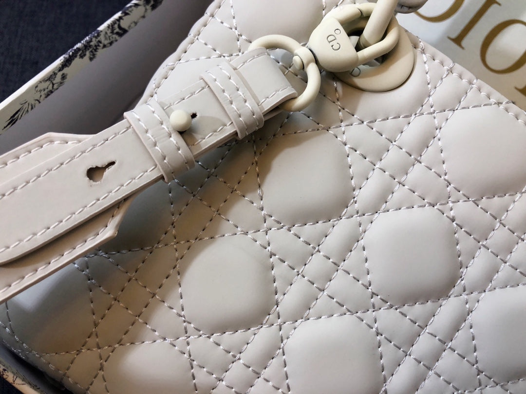 ミディアム レディ 20 バッグ（ホワイトカーフスキン）