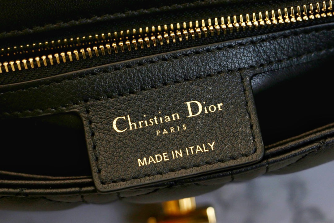 CARO ミニバッグ 20 ブラックカーフスキン