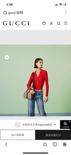 GGオフィディア スモール 24 ベージュキャンバス＆ブラウンカーフスキン