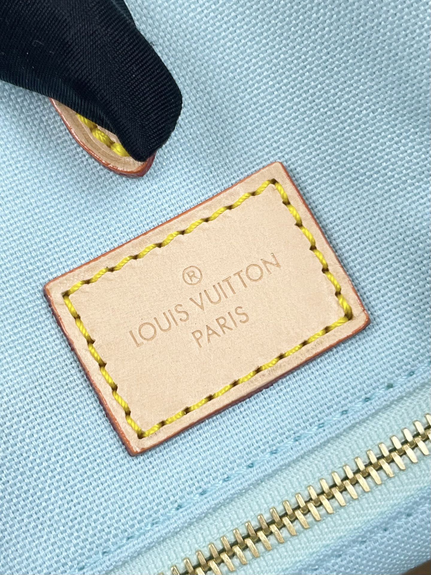 ONTHEGO 35 ピスタチオ ダミエ ジャイアント キャンバス